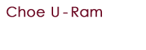 U-RAM Choe